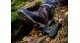Steiner Binocular Safari UltraSharp 10x26 44770900