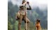 Steiner Binocular Observer 10x42 23140900